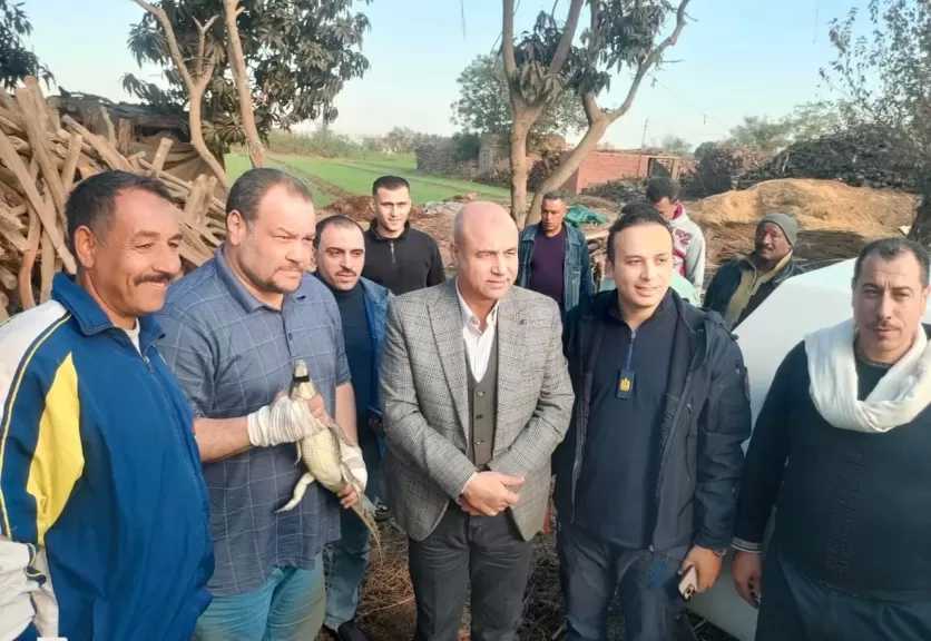 البيئة تنجح فى الإمساك بتمساح مصرف قرية الزوامل بالشرقية