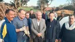 البيئة تنجح فى الإمساك بتمساح مصرف قرية الزوامل بالشرقية البيئة تنجح فى الإمساك بتمساح مصرف قرية الزوامل بالشرقية