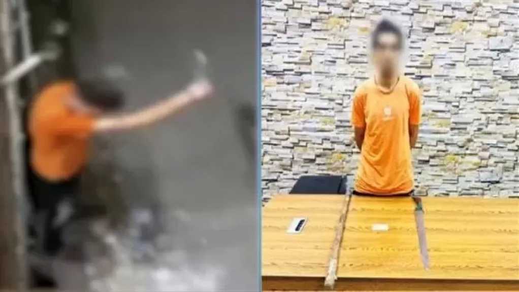 بعد انتشار الفيديو على فيسبوك.. ضبط شخص يمارس البلطجة بالغربية