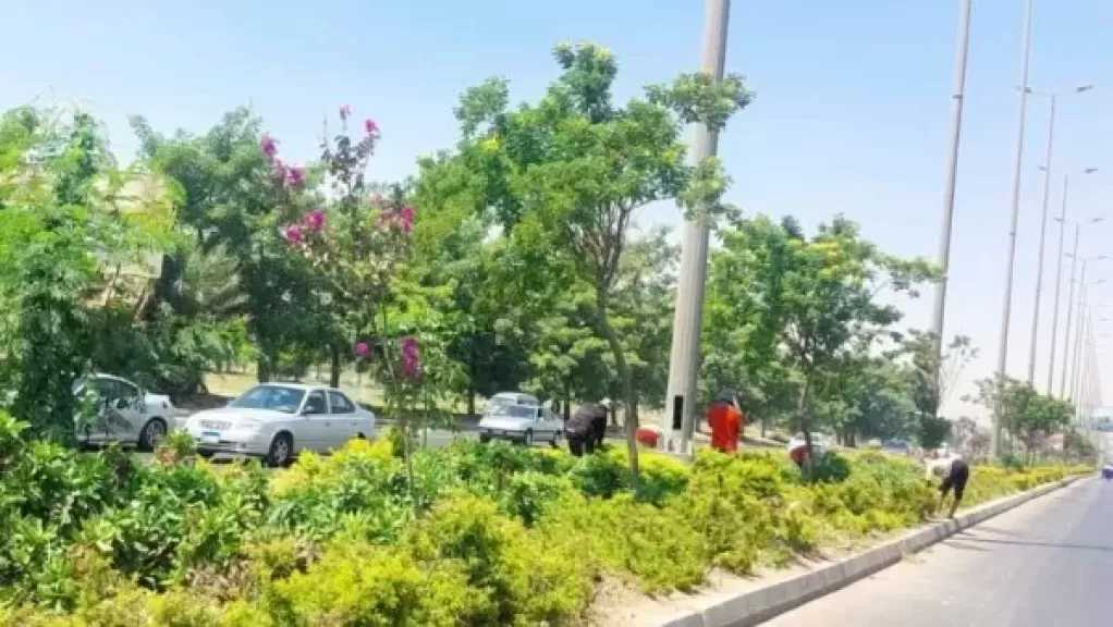 إنشاء حديقة على الطراز التركي في الإسكندرية