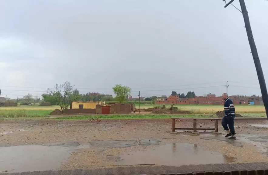 سقوط أمطار غزيرة على دمياط وتحرك فوري للأجهزة التنفيذية