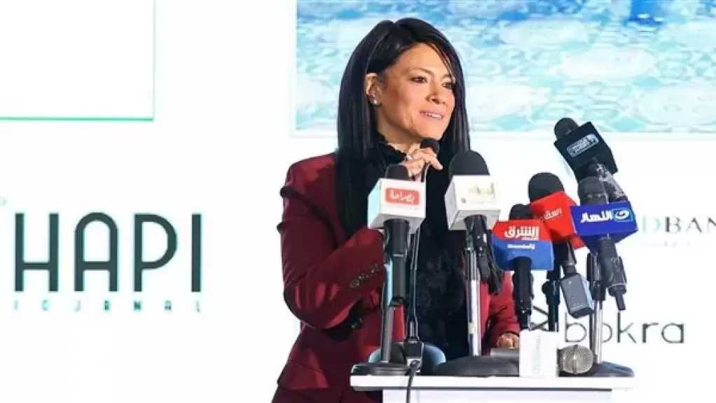 المشاط: 9.5 مليار دولار تمويلات ميسرة لدعم الموازنة منذ بداية 2023