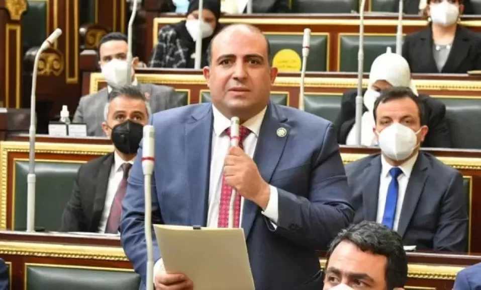 وكيل الشئون الإفريقية بالنواب: مركز التجارة الإفريقي خطوة استراتيجية لتعزيز قيادة مصر الاقتصادية بالقارة