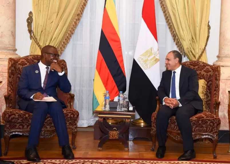 لقاء ثنائي بين د بدر عبدالعاطي ووزير خارجية زيمبابوي.. تفاصيل
