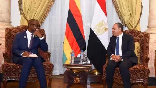 لقاء ثنائي بين د بدر عبدالعاطي ووزير خارجية زيمبابوي.. تفاصيل