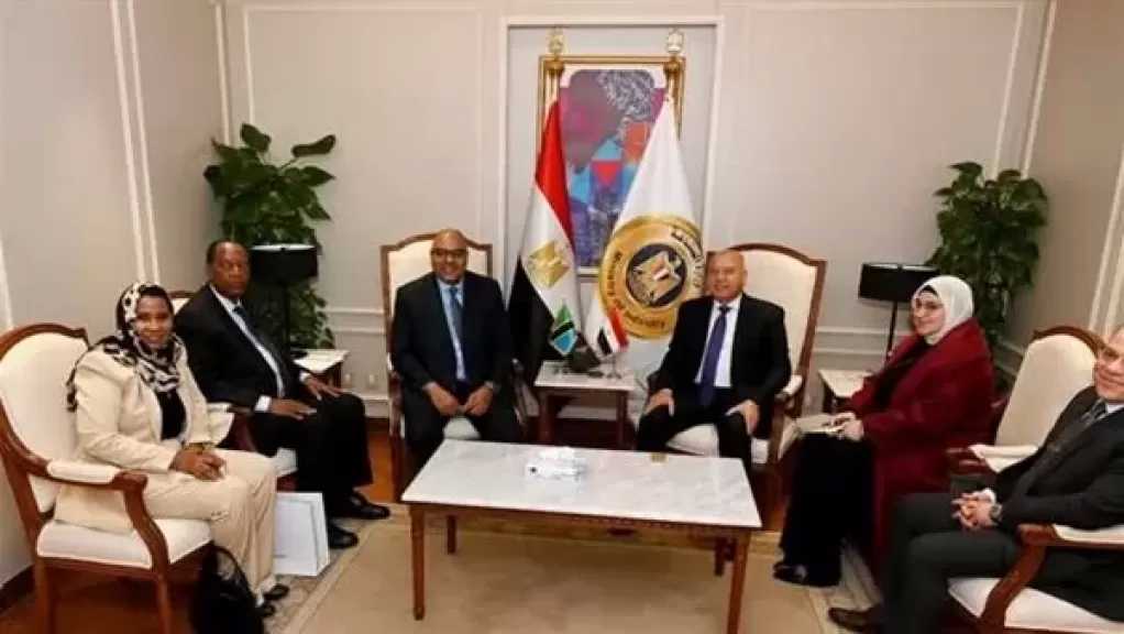 وزير الصناعة والنقل يبحث مع وزيري الخارجية والإعلام والثقافة والرياضة بتنزانيا إطلاق مشروعات استراتيجية مشتركة