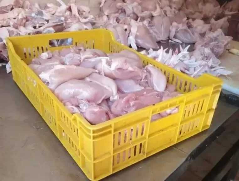 ضبط 1.5 طن منتجات دواجن وبسطرمة مجهولة المصدر بشبرا الخيمة