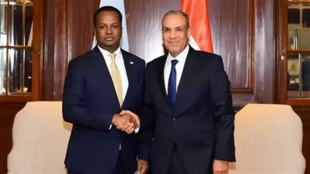 مباحثات مصرية-صومالية حول سبل تعزيز الشراكة ودعم الأمن والاستقرار