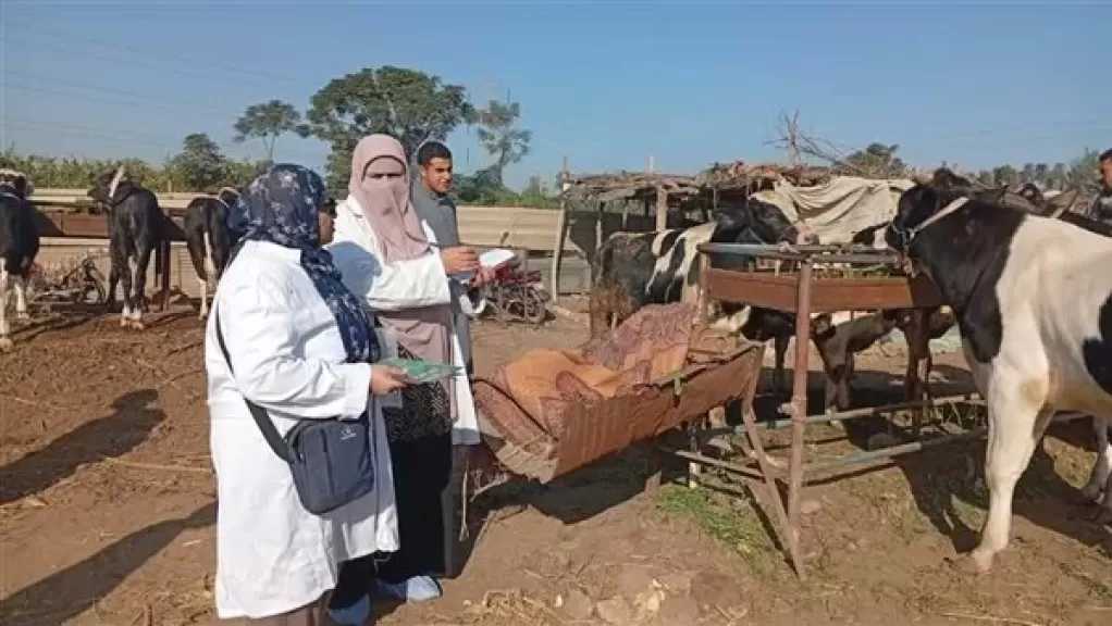 الزراعة تنفذ حزمة أنشطة موسعة للتقصي والترصد الوبائي للأمراض بالمحافظات خلال نوفمبر