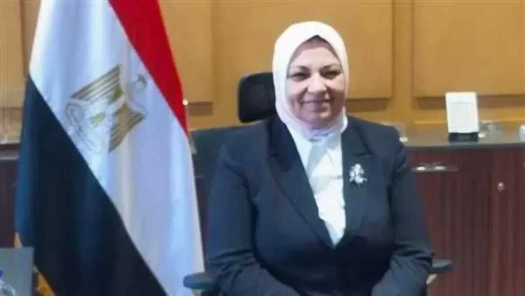 وزارة الكهرباء أمام الشيوخ: 3.4 مليون محضر سرقة وفاقد تتخطى 22 مليار جنيه