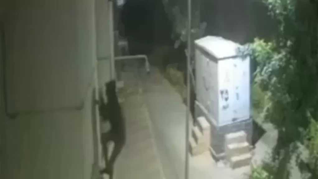 بعد فضحه بالفيديو.. القبض على سبايدر مان الشروق