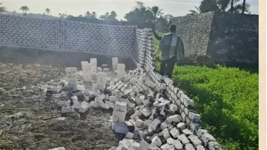 الزراعة: الدولة تراعي البعد الاجتماعي عند تحديد القيم الإيجارية للأراضي الزراعية