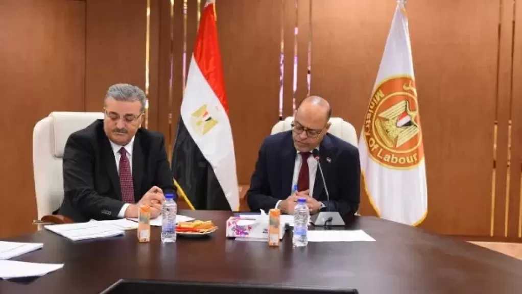 مصر تبحث مع تركيا تعزيز التعاون في مجالات التشغيل والتفتيش وسوق العمل