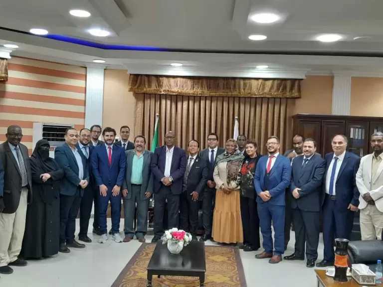 مصر ترسل قافلة طبية نوعية ومستلزمات علاجية وأدوية إلى السودان.. صور