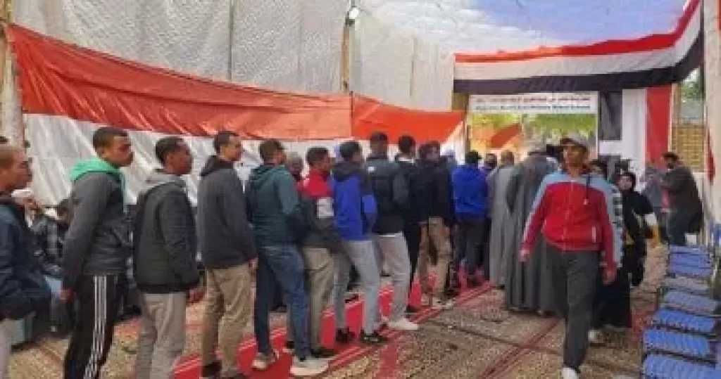بدء تصويت المصريين فى نيوزيلندا بإعادة الدوائر الـ 19 الملغاة بالمرحلة الأولى
