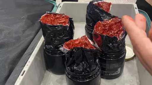 جمارك مطار القاهرة تضبط 11 كيلو ونصف من المخدرات