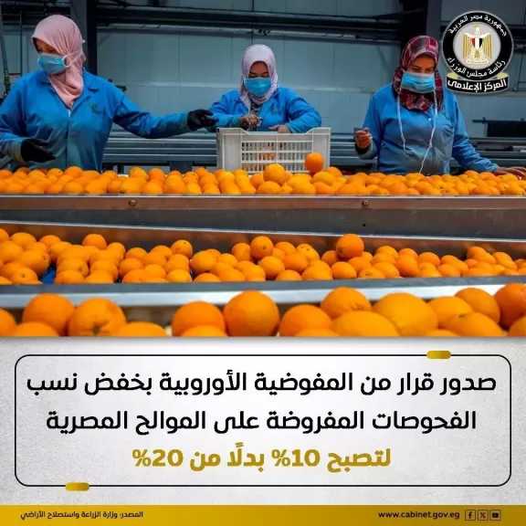 قرار رسمي من المفوضية الأوروبية بخفض نسب الفحوصات المفروضة على شحنات الموالح المصرية لتصبح 10% بدلاً من 20%