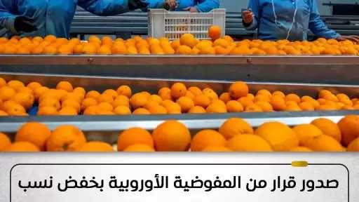 قرار رسمي من المفوضية الأوروبية بخفض نسب الفحوصات المفروضة على شحنات الموالح المصرية لتصبح 10% بدلاً من 20%