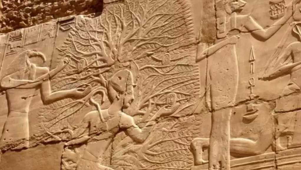 خبير آثار: عيد ميلاد حورس وشجرة أوزوريس هدية مصر للعالم في العام الجديد