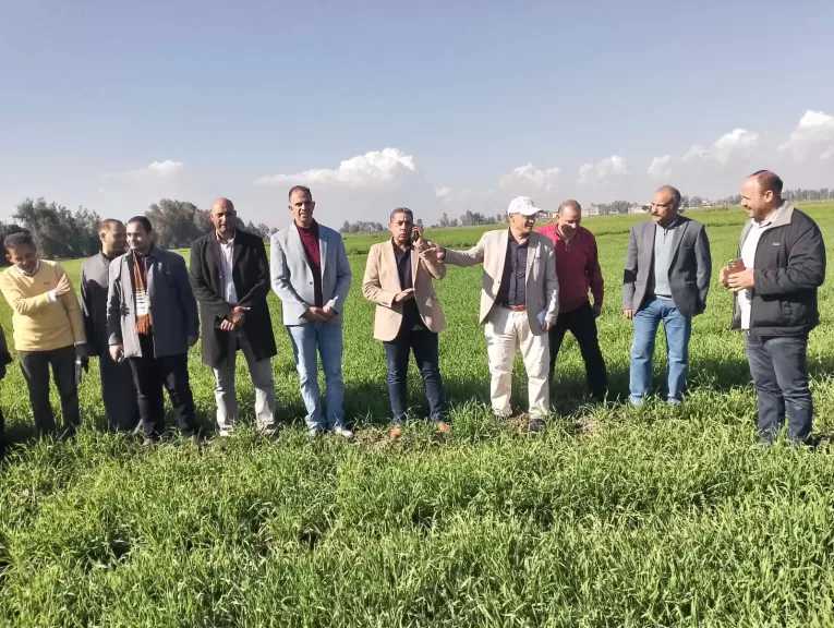 ”الزراعة” تتفقد حقول القمح بجميع المحافظات.. صور