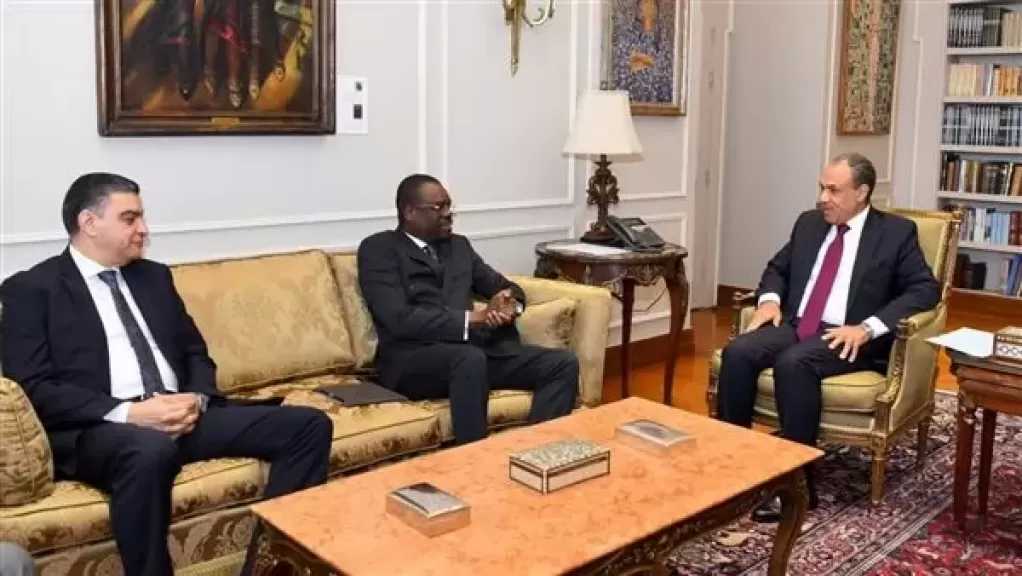 وزير الخارجية يؤكد دعم مصر لتعزيز منظومة الصحة والأمن الدوائي بإفريقيا