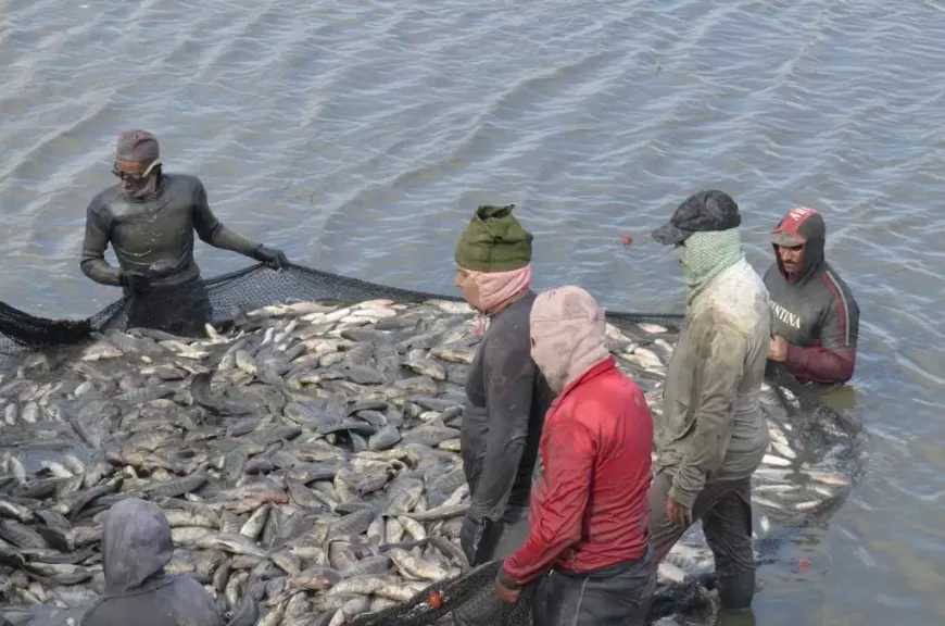 افتتاح موسم الصيد بمزرعة المنزلة السمكية