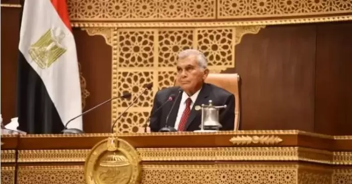 رئيس مجلس الشيوخ يستقبل سفيرة البحرين بالقاهرة لتعزيز التعاون المشترك