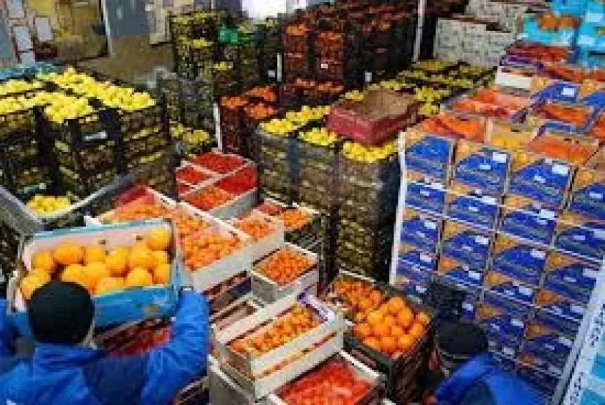 مصر تحقق طفرة تاريخية في الصادرات الزراعية وتصل إلى 9 ملايين طن