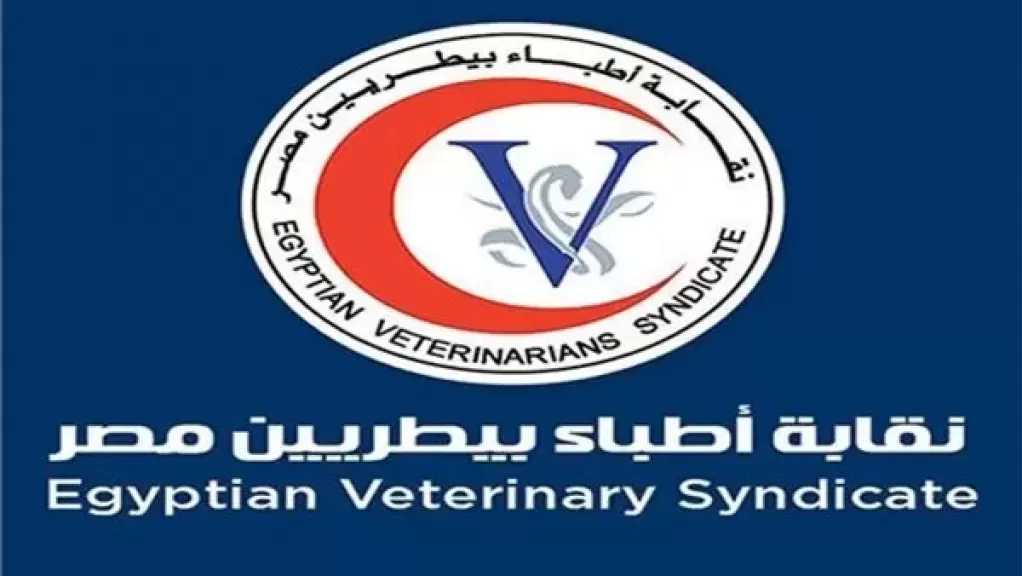 نقابة الأطباء البيطريين تعلن الكشوف النهائية لمرشحي التجديد النصفي