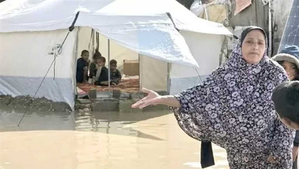 محلل سياسي: إسرائيل مصممة على تهجير سكان غزة بمنع المساعدات