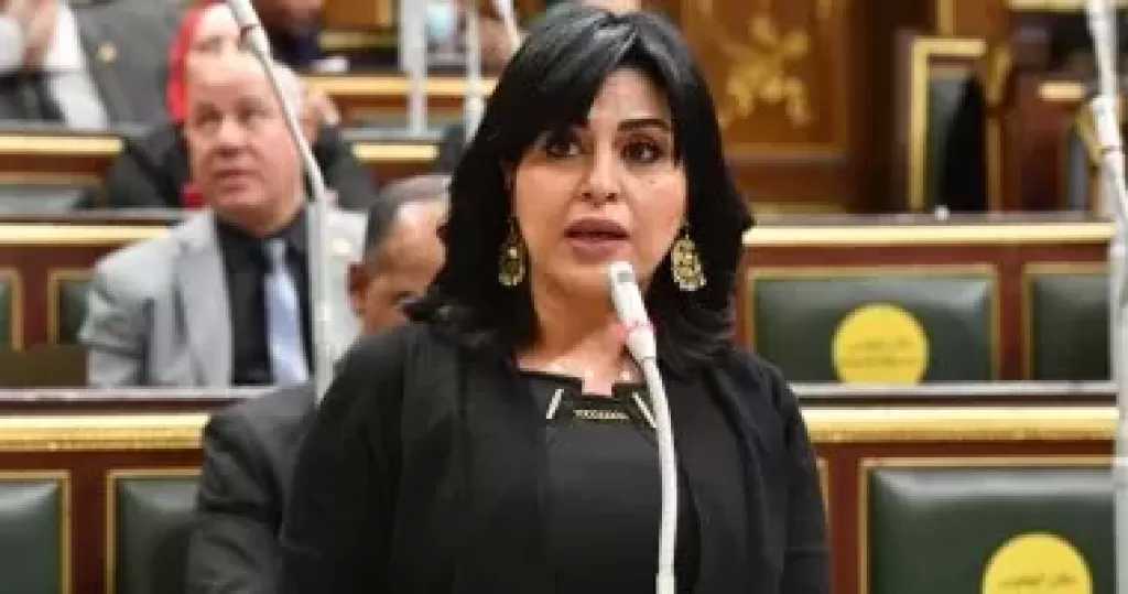 النائبة هند رشاد: القوافل المصرية لغزة تجسد ثبات موقف مصر الداعم للفلسطينيين