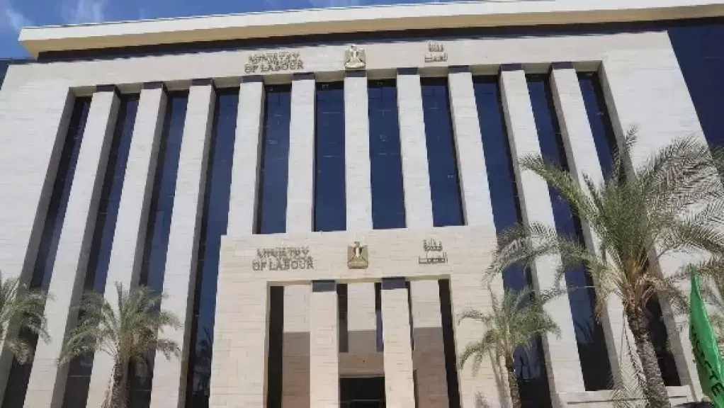 حصاد العمل في إسبوع.. فرص عمل في الداخل والخارج .. ومنحة عيد الميلاد للعمالة غير المنتظمة