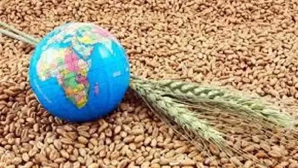 الزراعة المصرية.. تحوّل استراتيجي لتحقيق الأمن الغذائي