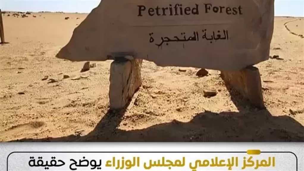 الوزراء يوضح حقيقة التعدي على الأشجار المتحجرة داخل محمية الغابة المتحجرة بمنطقة التجمع