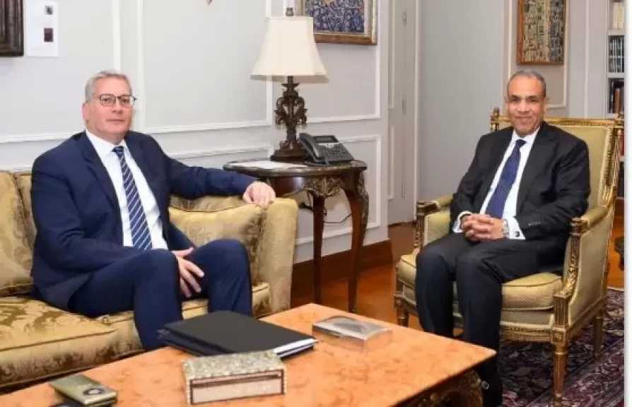 وزيرا الخارجية والبترول يبحثان سبل دعم التعاون المشترك