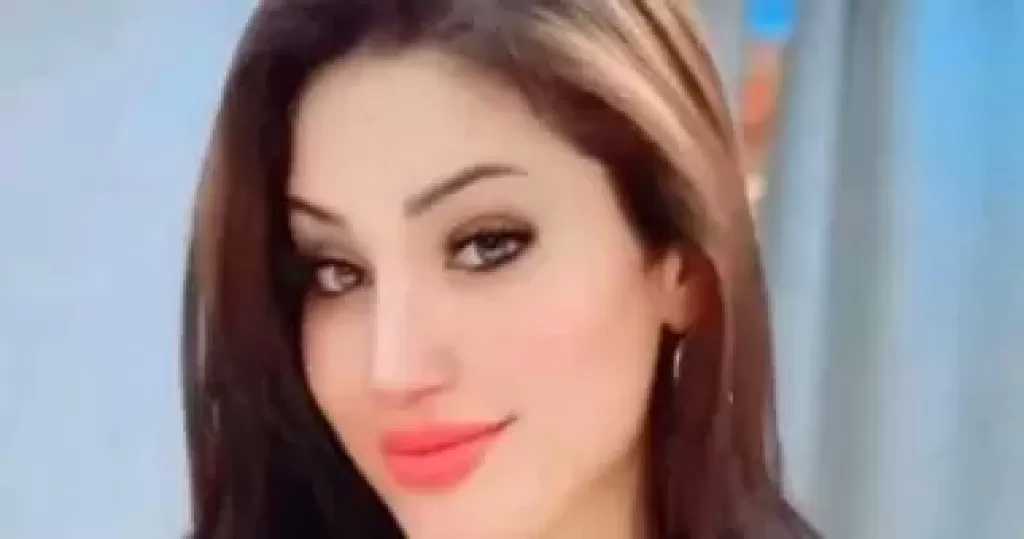 تأجيل أولى جلسات محاكمة البلوجر نورهان حفظى بتهمة نشر فيديوهات خادشة لـ26 يناير