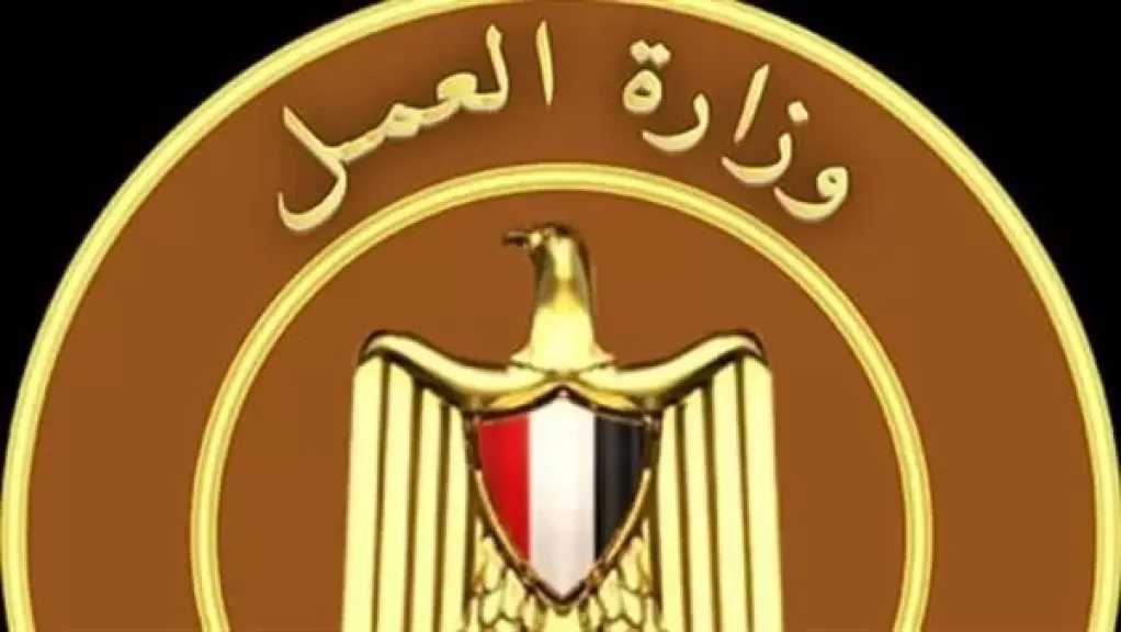 العمل: التفتيش على 581 منشأة خلال 4 أيام