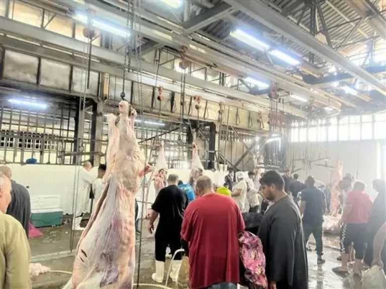 وزيرة التنمية المحلية تعلن التشغيل التجريبى لـ4 مجازر بالمنوفية والدقهلية وكفر الشيخ| تفاصيل