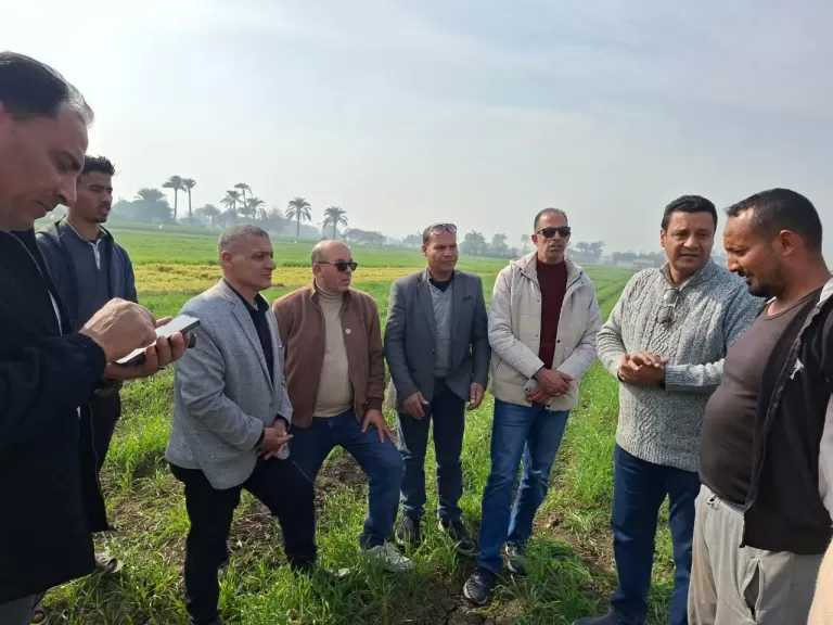 «البحوث الزراعية» يتفقد حقول بني سويف للاطمئنان على المحاصيل وتقديم الدعم الفني للمزارعين