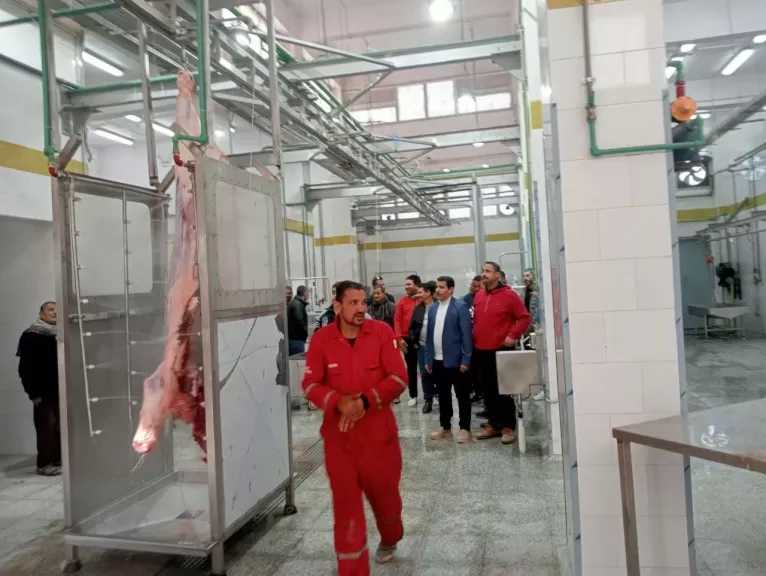 محافظ المنوفية يشدد على المتابعة المستمرة للمجازر لضمان كفاءة تشغيلها لتحسين مستوى الخدمات المقدمة للمواطنين