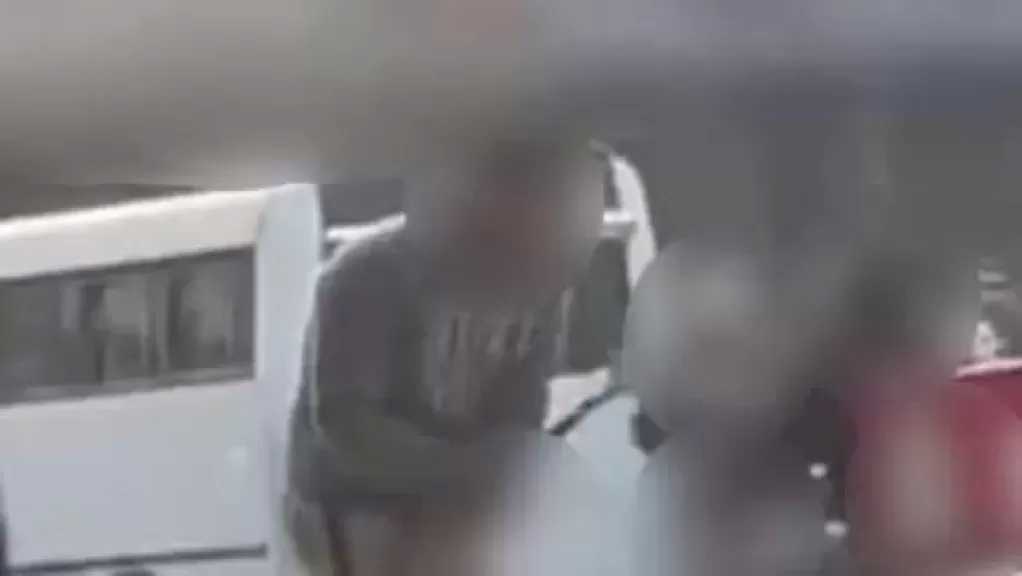 القبض على حارس عقار تعدى على كلب بعصا خشبية في العجوزة