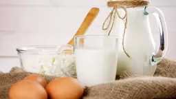 أسعار البيض والألبان في الأسواق اليوم السبت 10 يناير 2026