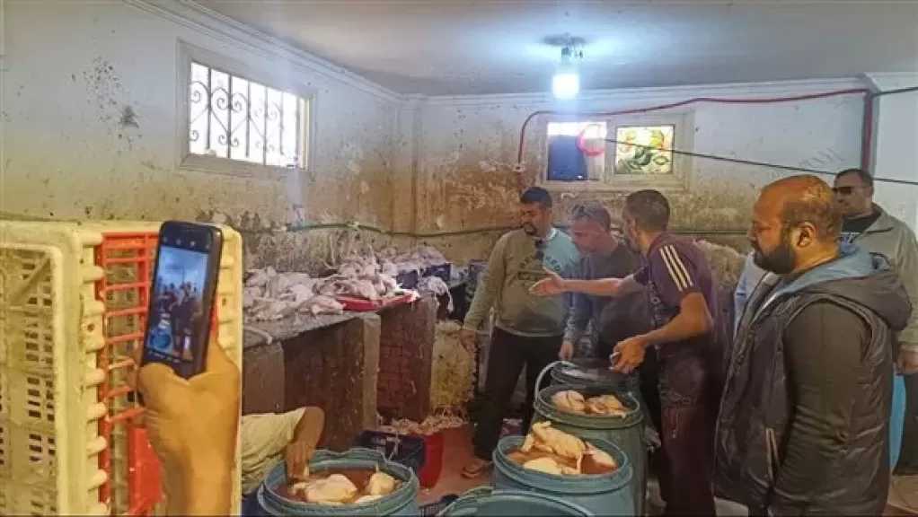 خلال شهر.. الجيزة تضبط 75 طن مصنعات لحوم ودواجن فاسدة وتحصّن 222 ألف رأس ماشية