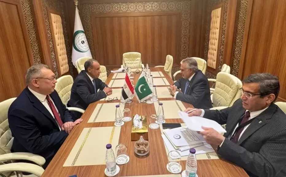 وزير الخارجية يبحث مع نظيره الباكستاني تطورات الأوضاع الإقليمية| صور