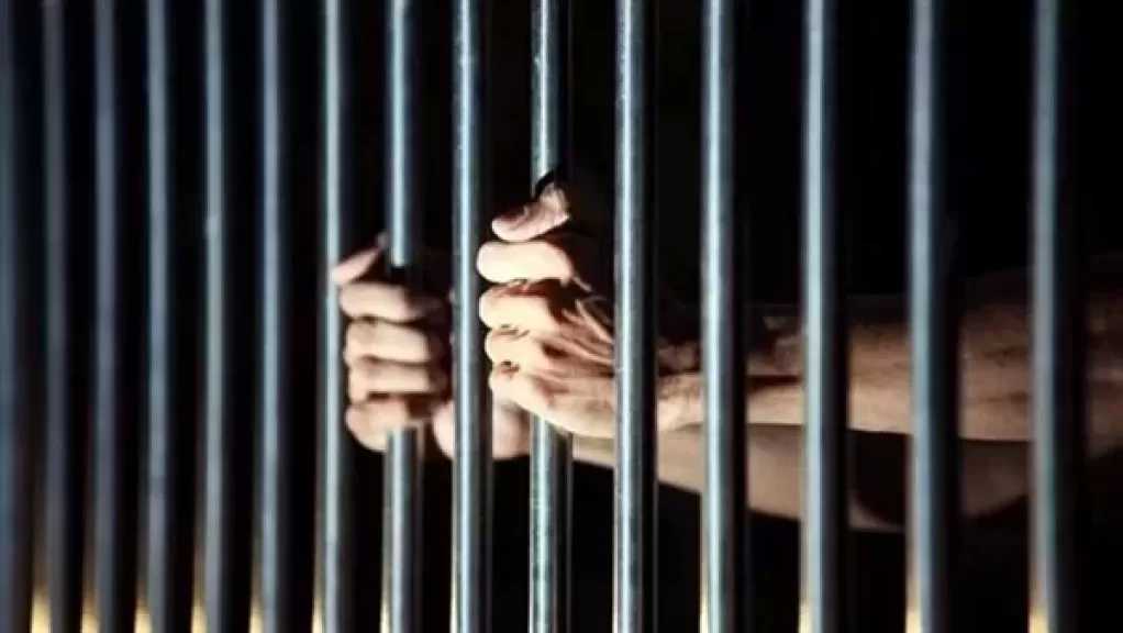 اليوم.. استكمال محاكمة 117 متهمًا في قضية ”الخلية الإعلامية”