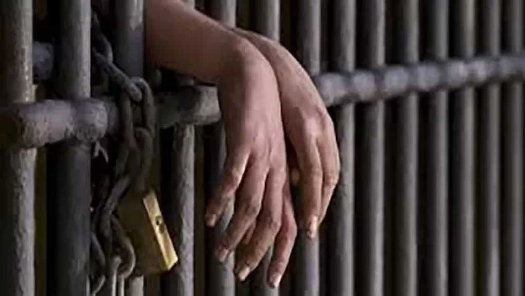 اليوم.. محاكمة 74 متهمًا في قضية ”خلية التجمع”