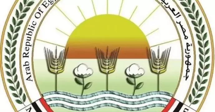 الزراعة تعلن فتح السوق الأوزبكي أمام صادرات مصر من الفراولة الطازجة