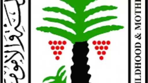 ”الأمومة والطفولة”: الابتزاز الإلكتروني يستهدف أطفالًا فوق 10 سنوات