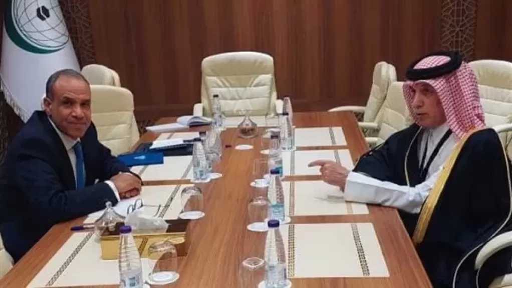 وزير الخارجية يلتقي نظيره القطري لبحث التطورات الإقليمية