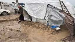 127 ألف خيمة تالفة بغزة تواجه أعمق منخفض شتوي... 127 ألف خيمة تالفة بغزة تواجه أعمق منخفض شتوي اليوم